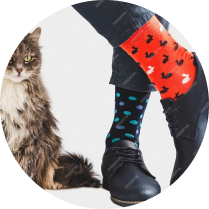 Animal & Pet Socks