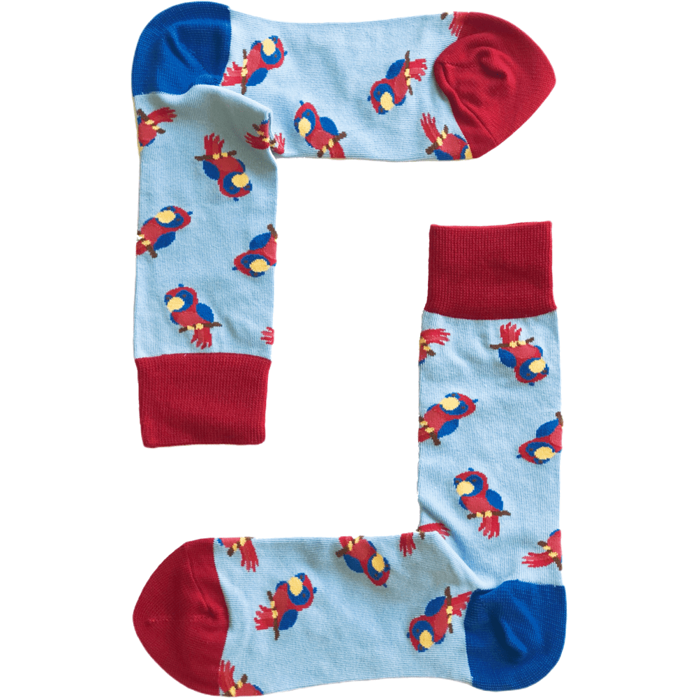 Cute Parrot Socks